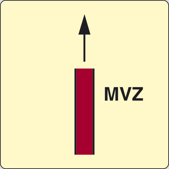MVZ (zona verticale principale) luminescente