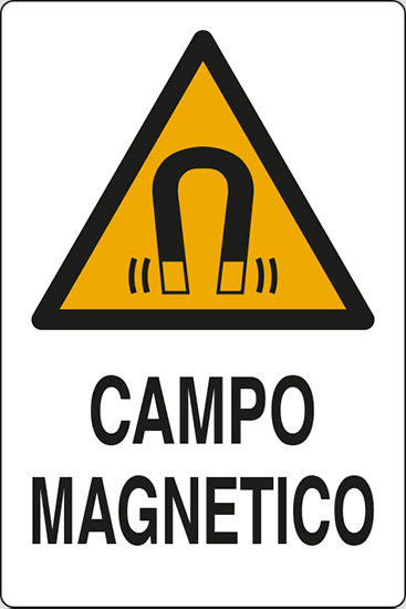 CAMPO MAGNETICO