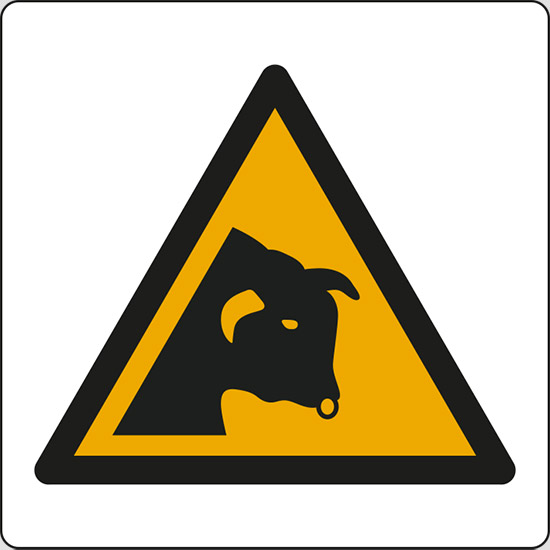 (avvertimento: toro – warning; bull)
